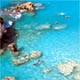 Bahamas Sightseeing