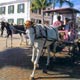 Bahamas activities